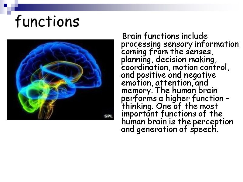 functions     Brain functions include processing sensory information coming from the